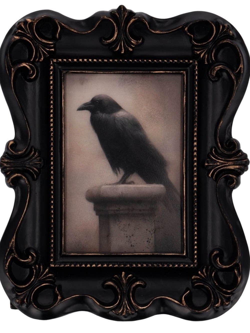 ✨ 🆕 My Texas House Raven Framed Art Tabletop Decoration, Black, 8"× 10"